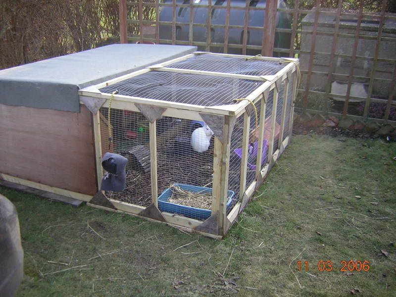 DIY Rabbit Run Rabbits United Forum